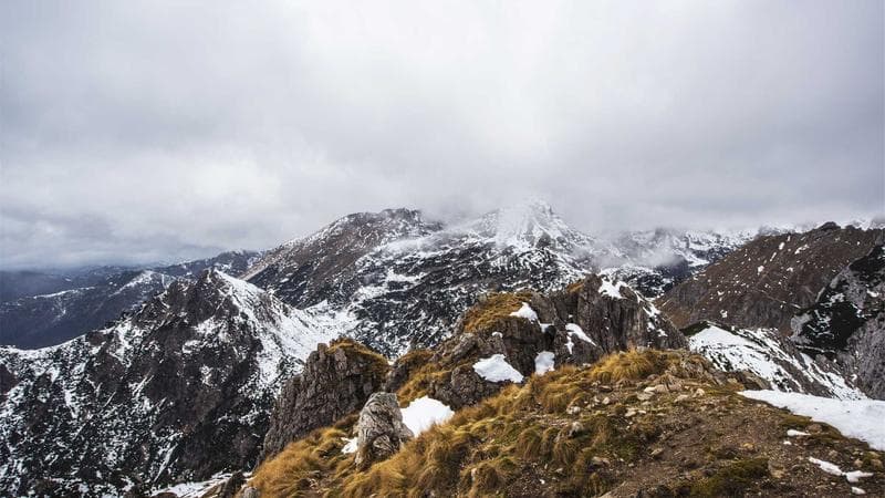 The True Cost of a Missed Call: How Businesses Lose Thousands Every Month