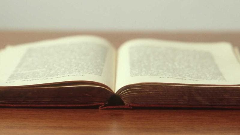 The Psychology of Fast Responses: Why Speed Wins Customer Trust