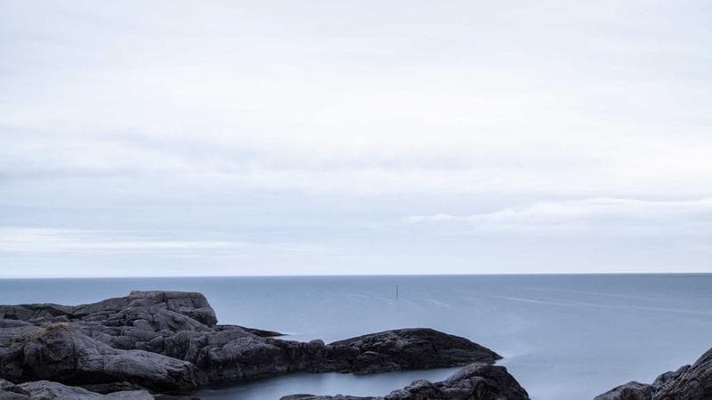 SMS vs Email for Lead Follow-Up: Which Converts More in 2025?